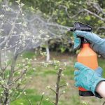 Борьба с болезнями и вредителями в саду